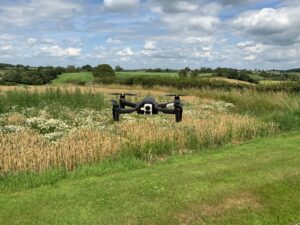 DB укладає контракт