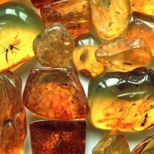 head of Ukrzaliznytsia