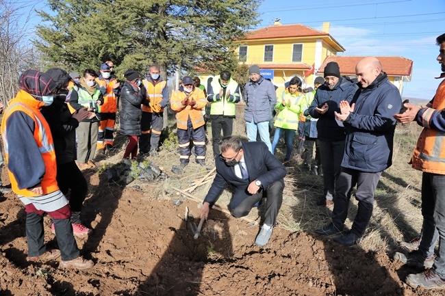 В Турции TCDD и Alstom посадили 1000 саженцев