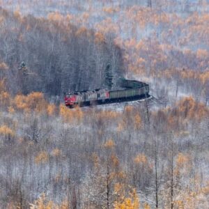 purchased locomotives