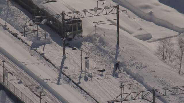 остановили движение поездов