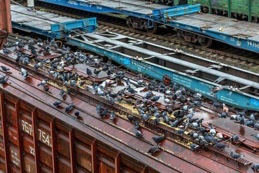 Експорт через західний кордон України