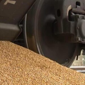 экспорт зерна Казахстан 2024