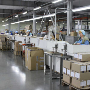 How business survives and works during the war