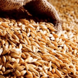 CN grain haul record drives logistics efficiency