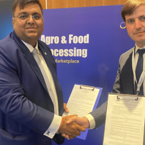 Construction of the grain terminal