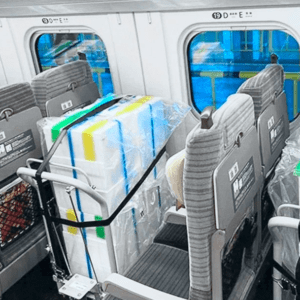 Transportation of Cargo by High-Speed Trains