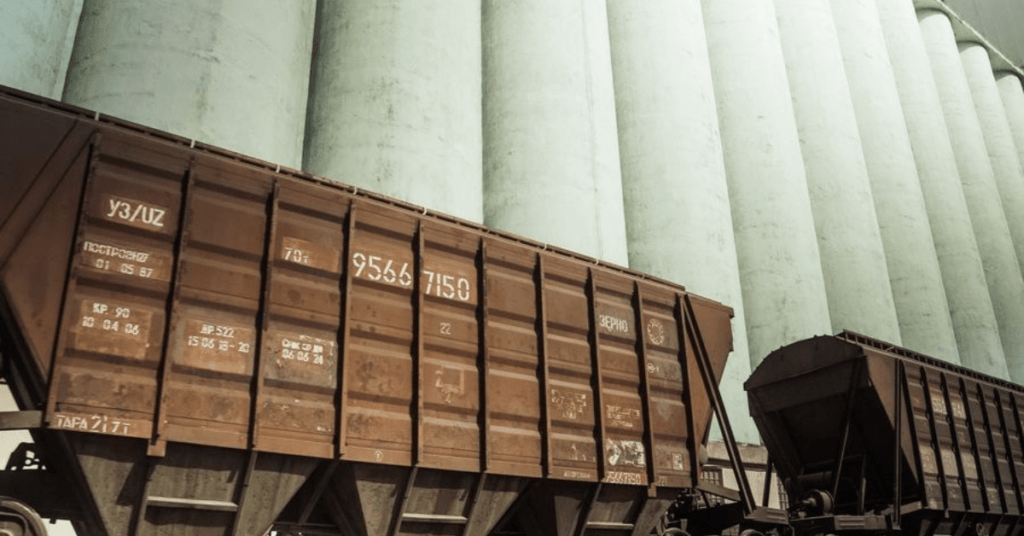 Реалізація зерновозів з перестановкою візків