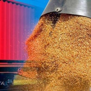 Kazakhstan's grain railway exports to China