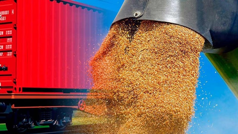 залізничного експорту зерна