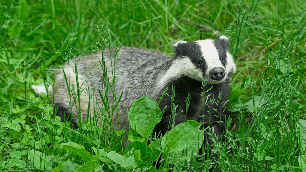 причиной серьезных проблем на железнодорожных путях