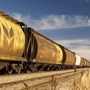 Rail transportation of grain