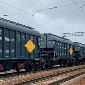 Monopolization of the grain railway transportation market