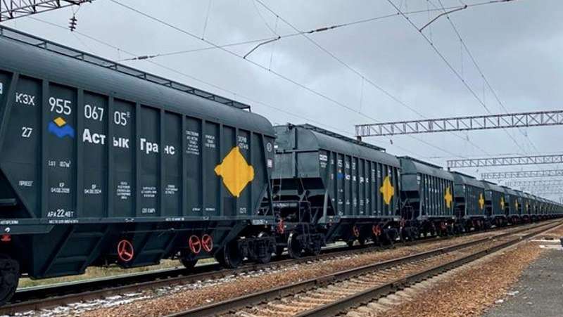 Monopolization of the grain railway transportation market