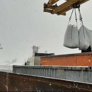 LTG Cargo Ukraine transshipped rapeseed from Ukraine