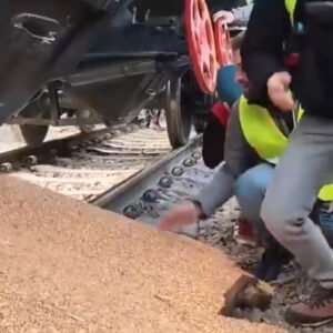 польские протестующие высыпали зерно из вагонов