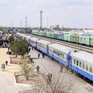 введены в эксплуатацию пассажирские вагоны