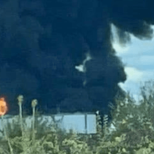 РФ нанесла удар по одному из терминалов Delta Wilmar