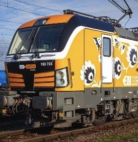 a remote locomotive diagnostic system