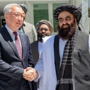 участвовать в строительстве железных дорог