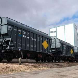 Казахстан нарастил поставки агропродукции в Китай