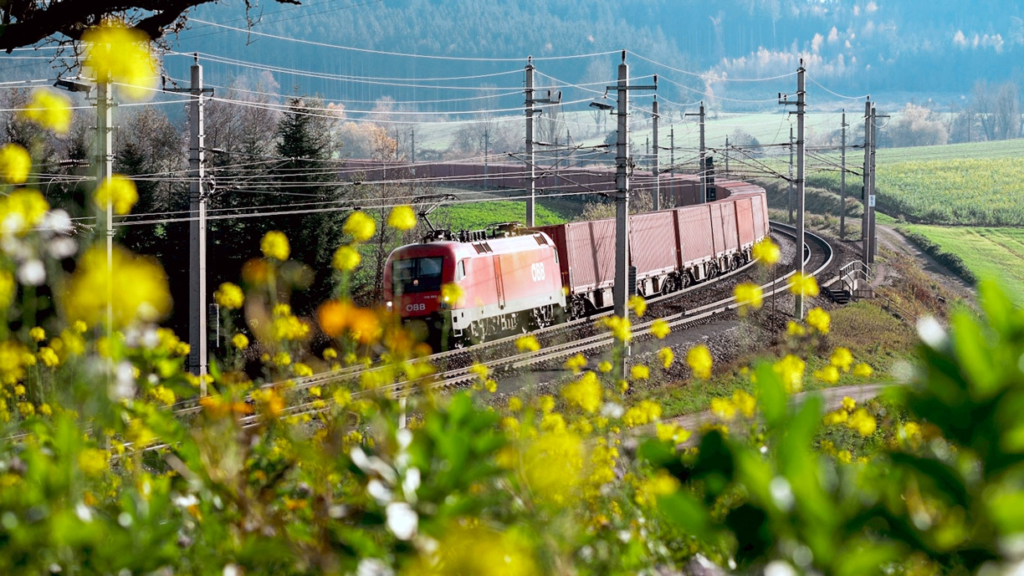 RCG Launches New Route: Fast Rail Transport RCG Launches New Route: Fast Rail Transport