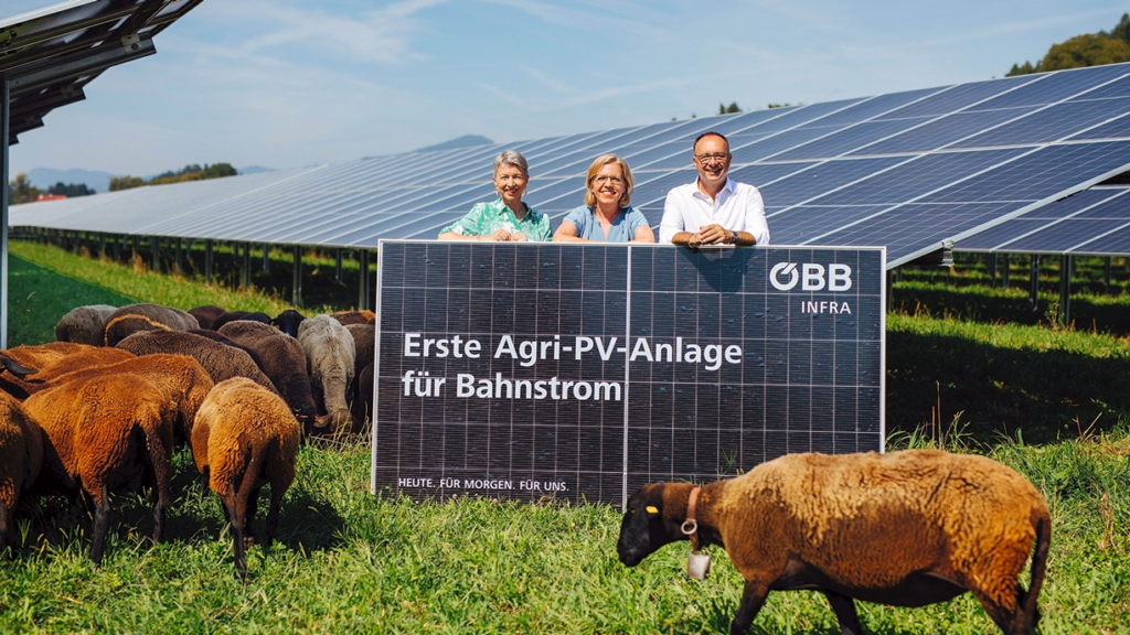 ÖBB: An Eco-Friendly Innovation with Solar Panels and Grazing Areas ÖBB: An Eco-Friendly Innovation with Solar Panels and Grazing Areas