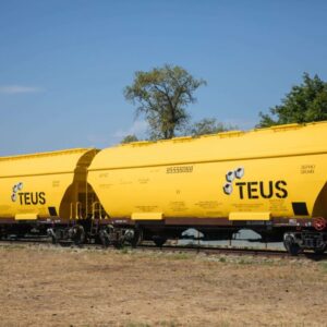 TEUS расширяет парк вагонов: новые зерновозы
