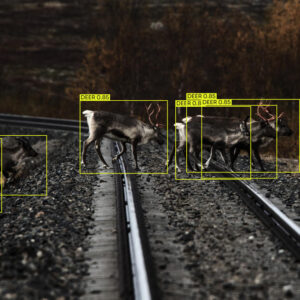 Технология отпугивания животных на ЖД путях