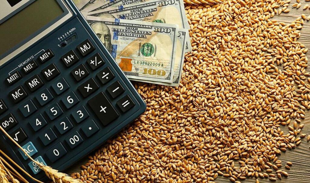 Grain Transportation Grain Transportation