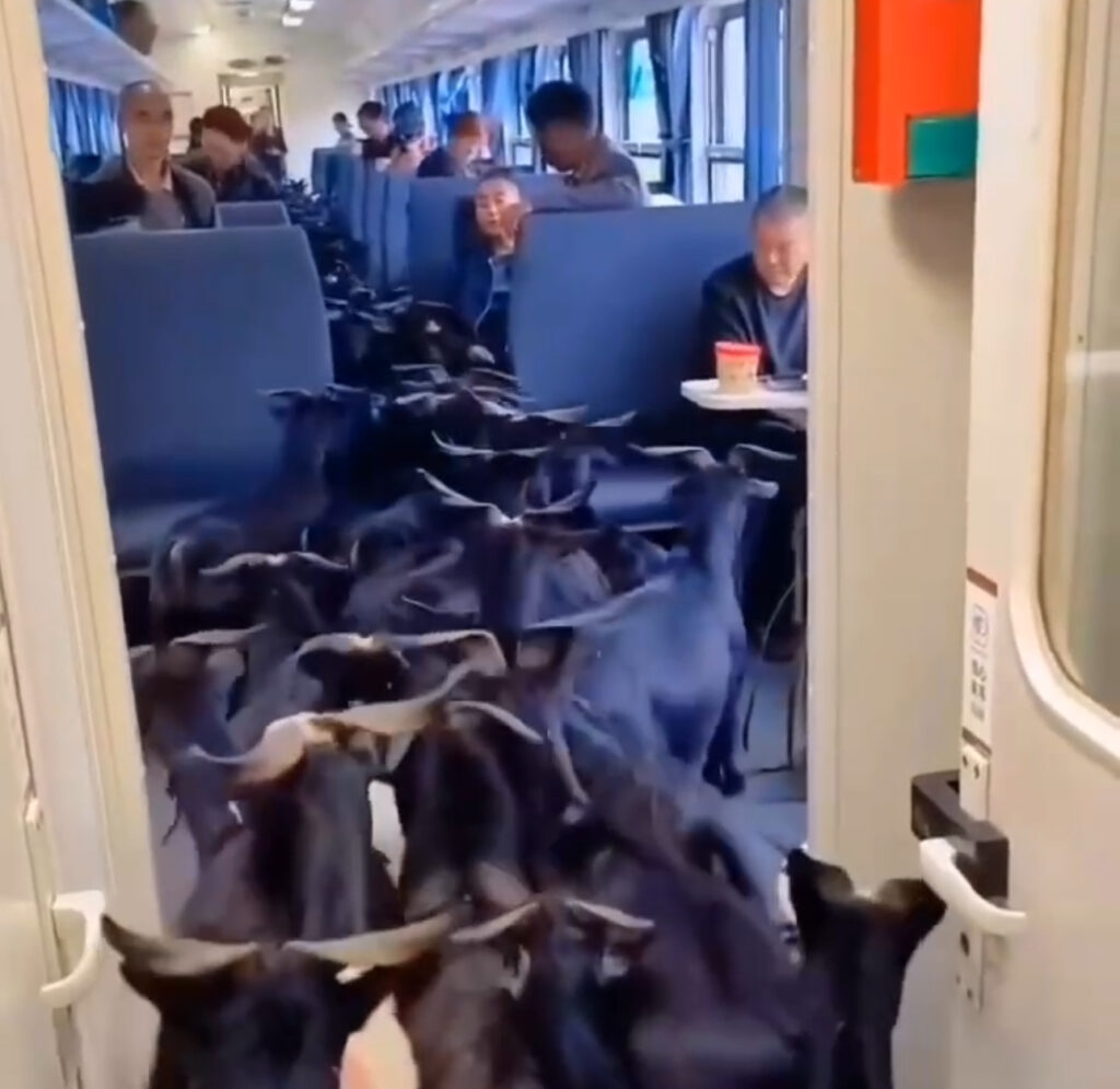 unique trains unique trains