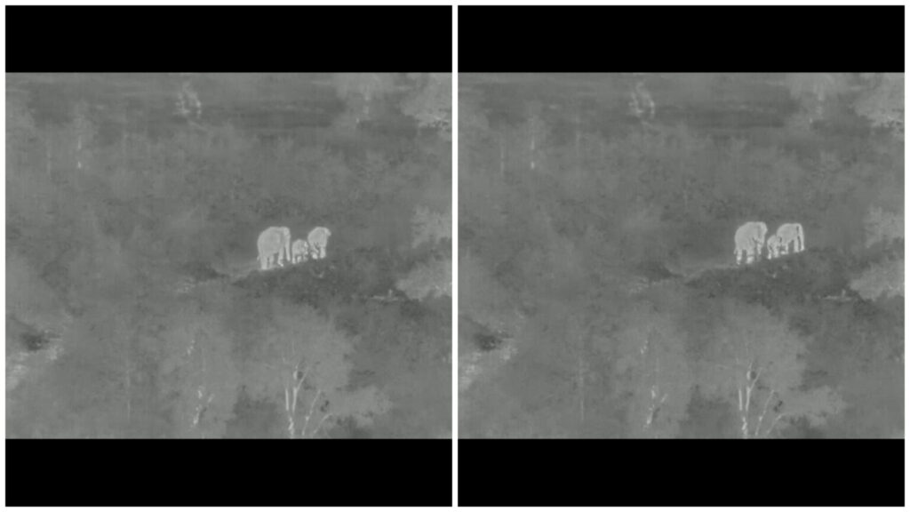 railway tracks Elephants Saved by AI Cameras Near Railway Tracks in Odisha