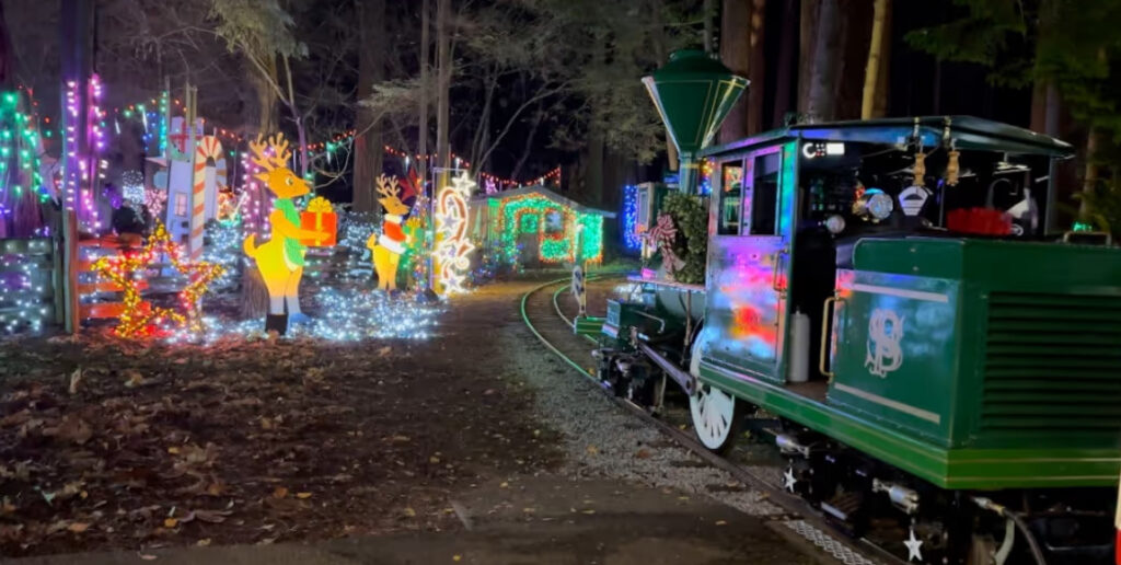 Christmas Train