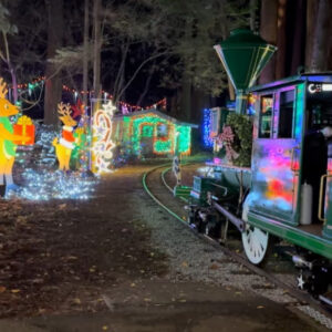 Christmas Train