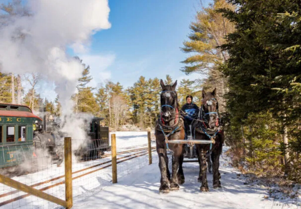 Experience the magic of Steam and Sleighs to SeaLyon Farm this February in beautiful Maine. This event blends nostalgia, history, and winter traditions into an unforgettable adventure. Experience the magic of Steam and Sleighs to SeaLyon Farm this February in beautiful Maine. This event blends nostalgia, history, and winter traditions into an unforgettable adventure.