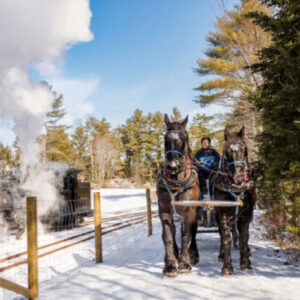 Experience the magic of Steam and Sleighs to SeaLyon Farm this February in beautiful Maine. This event blends nostalgia, history, and winter traditions into an unforgettable adventure.