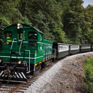 Runaway Locomotive Incident Shocks Kentucky Tourist Railway.