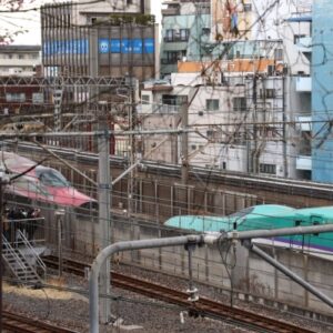 Tohoku Shinkansen trains decoupled unexpectedly on Thursday, disrupting service significantly. Authorities halted operations between Tokyo and northeastern Japan immediately.