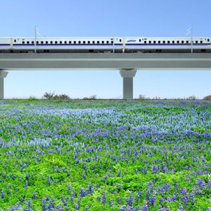 Министерство транспорта США (USDOT) отменило грант на сумму 63,9 млн долларов, выделенный Amtrak для поддержки проекта ВСМ Даллас — Хьюстон