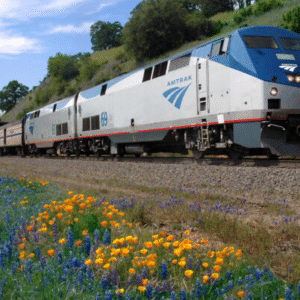 Amtrak демонстрирует стремительный рост: по итогам 2024 года пассажиропоток превысил допандемийный уровень, и в 2025 году компания планирует побить собственный рекорд.