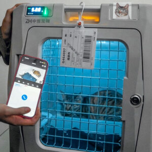 Китай впервые запустил услугу перевозки домашних животных в высокоскоростных поездах, курсирующих между Пекином и Шанхаем, что стало значительным шагом для пассажиров с питомцами