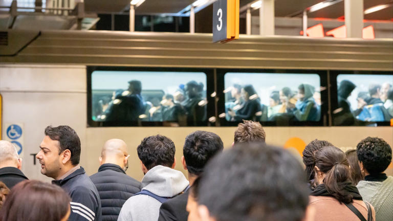 Sydney Trains experienced another day of major disruptions after a peak-hour train became tangled in live wires, causing authorities to urge commuters to avoid the network altogether Sydney Trains experienced another day of major disruptions after a peak-hour train became tangled in live wires, causing authorities to urge commuters to avoid the network altogether