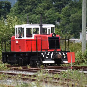 Waterfront Express opens its summer season on Saturday, June 7, offering scenic rides, steam weekends, and local student participation in Port Alberni’s historic railway experience