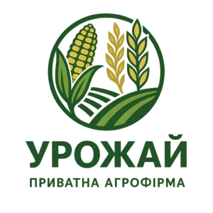 Замовляйте озиме жито “Сіверське” у ПСП «Агрофірма «Урожай» і отримуйте стабільні результати у будь-яких умовах!