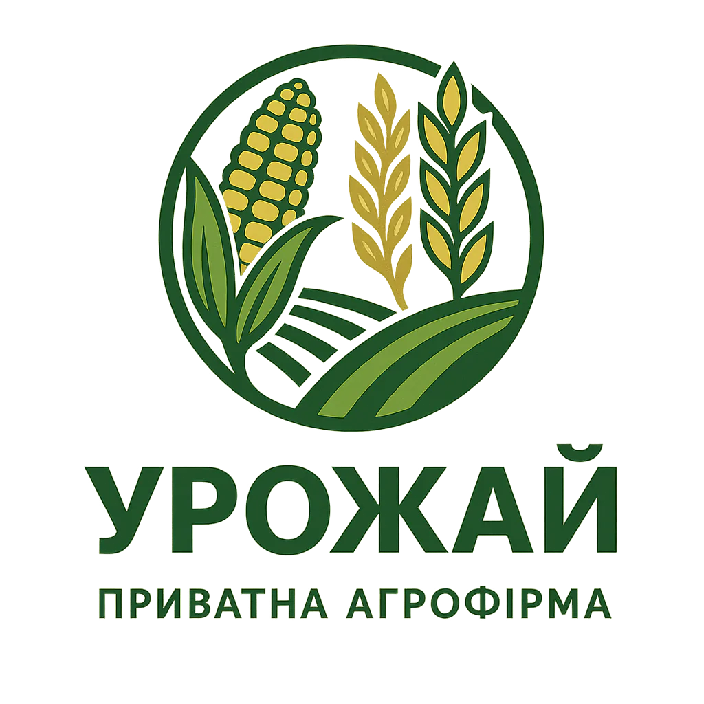 Замовляйте озиме жито “Сіверське” у ПСП «Агрофірма «Урожай» і отримуйте стабільні результати у будь-яких умовах!
