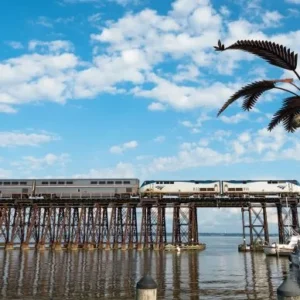 Discover Amtrak Auto Train schedules, costs, and amenities. Learn about routes, onboard services, and tips to make your journey from Florida to Virginia more enjoyable.