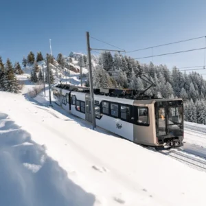 Stadler rack-and-pinion trains for Mount Rigi network