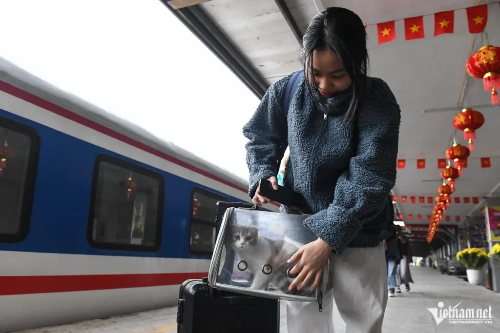 Vietnam Railways Tet trains: 11 extra services in 2026 Vietnam Railways Tet trains: 11 extra services in 2026