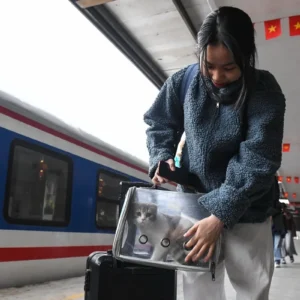 Vietnam Railways Tet trains: 11 extra services in 2026