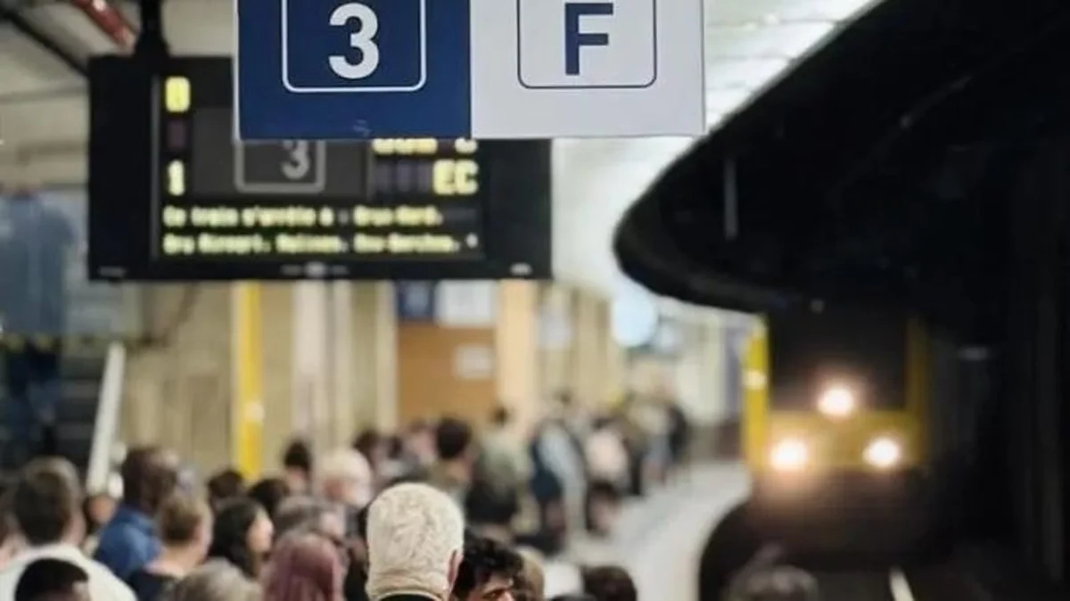 Train use in Belgium grows amid fuel costs
